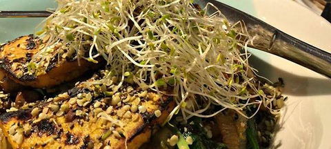 Migaloo's Cafe - Hobart Tourism 7