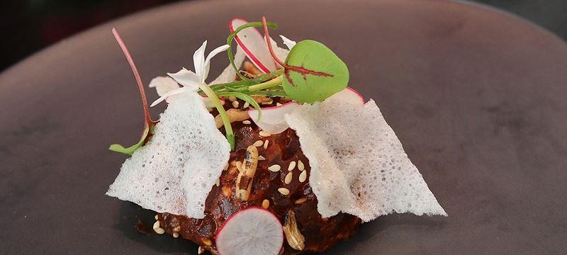 Porcupine Ridge VIC Tourism TAS