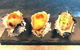 Phillip's Kitchen - thumb 6