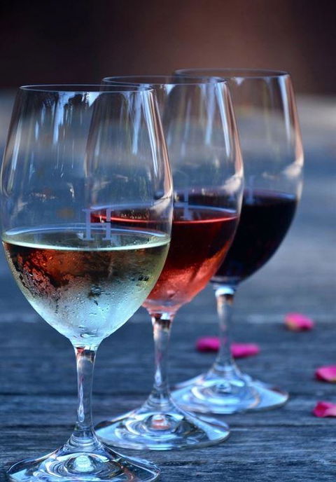 Vines Restaurant At Hollydene Estate - Tourism TAS 8