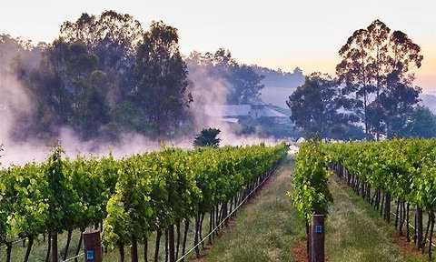 Lo Zucchero - Tourism TAS 1