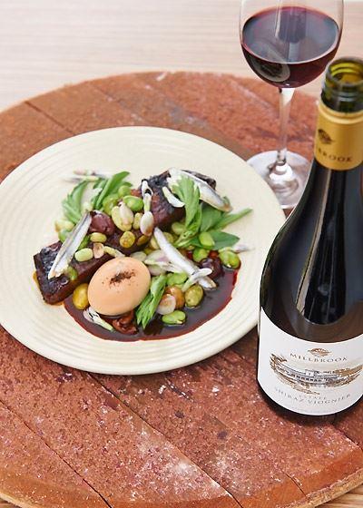 Lo Zucchero - Tourism TAS 6