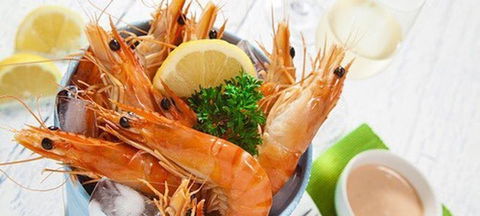 Tackleshack - Tourism TAS 1