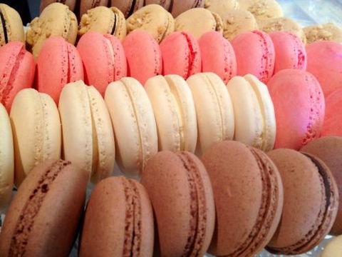Blackbird Artisan Bakery - Hobart Tourism 31