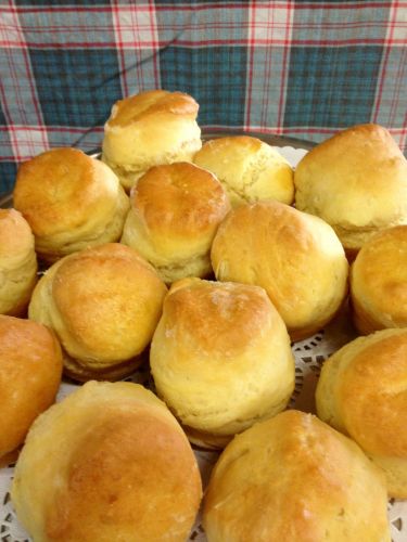 Blackbird Artisan Bakery - Hobart Tourism 33