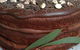 Blackbird Artisan Bakery - thumb 18