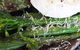 Blvd Bar & Cafe - thumb 7