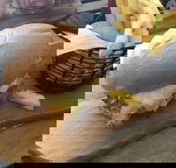 Hungry Boys - Tourism TAS