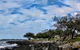 Sea Gypsy Cafe - thumb 5