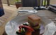 Elmslie Tasmania - thumb 6