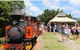 Choo Choos @ St Crispins - thumb 12