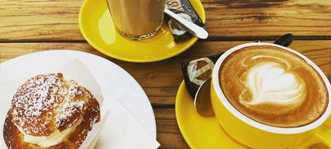 Honey Bee & Saint - Hobart Tourism 1