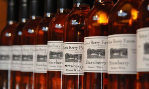 Merchants Of No Sense - Hobart Tourism 4