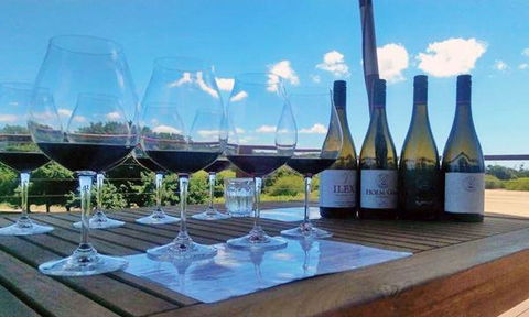 Currency Creek Winery Restaurant - Hobart Tourism 14