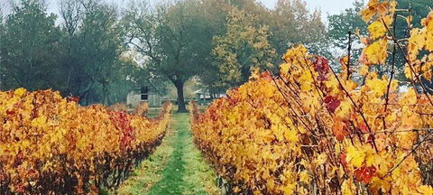 Currency Creek Winery Restaurant - Hobart Tourism 2