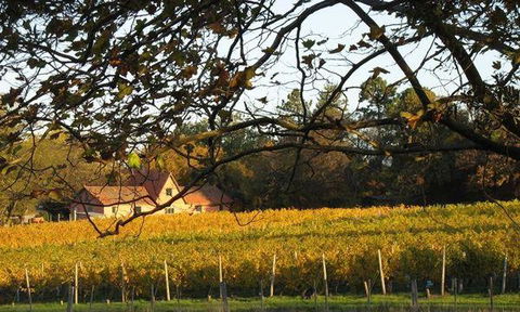 Currency Creek Winery Restaurant - Hobart Tourism 5