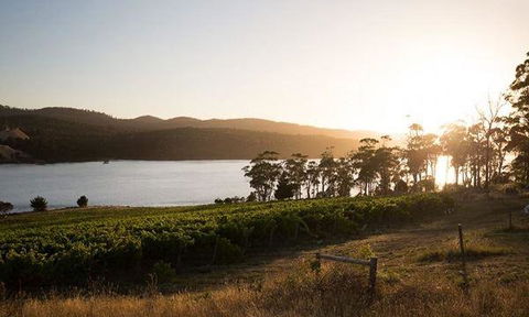 Currency Creek Winery Restaurant - Hobart Tourism 8