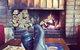 Fern Tree Tavern - thumb 0