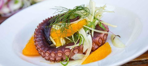 Black Swan Winery & Restaurant - Tourism TAS 3