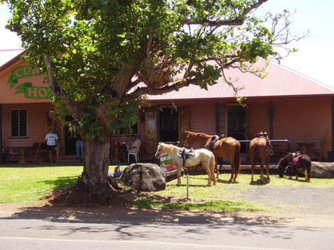 Currajah Hotel - Hobart Tourism 1