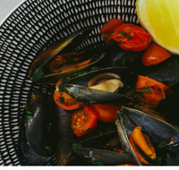 The Italian Diner - Hobart Tourism
