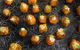 Black Truffle Catering - thumb 9