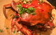 Wharf One Food & Wine - thumb 12
