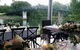 Noosa Waterfront Restaurant - thumb 2