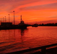 Crustaceans - Hobart Tourism