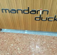 Mandarin Duck - Tourism TAS