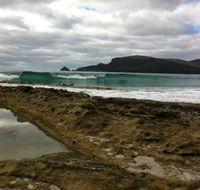Bruny Island Berry Farm - Hobart Tourism