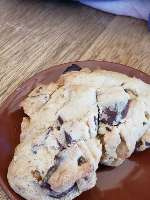 Bruny Island Cafe - Tourism TAS 2