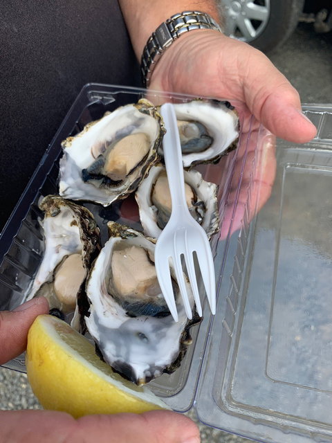 DOO-Lishus - Tourism TAS 10