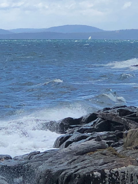 Get Shucked Oyster - Hobart Tourism 2