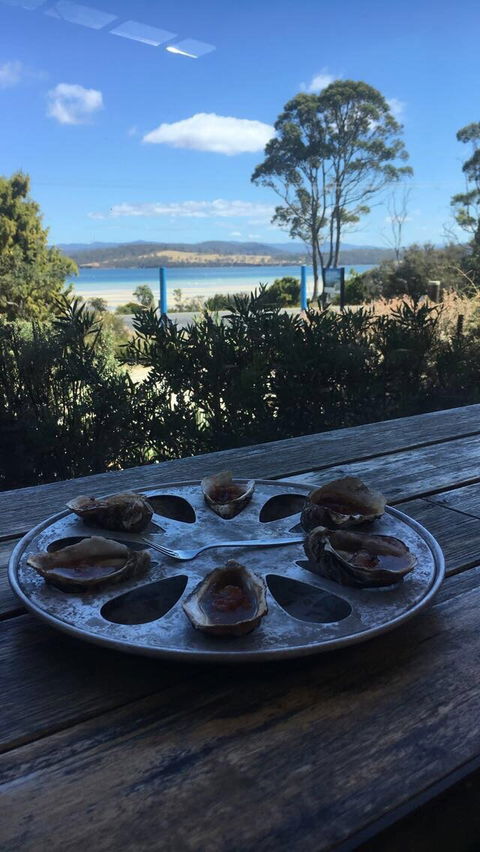 Get Shucked Oyster - Hobart Tourism 4