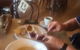 Jetty Cafe & Produce Store - thumb 6