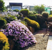 Pipers River Tea House and Crafts - Tourism TAS