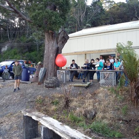 The Bay Fish - Hobart Tourism 0