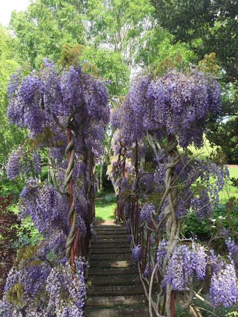 Villarett Gardens - Hobart Tourism 4