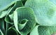 Villarett Gardens - thumb 6