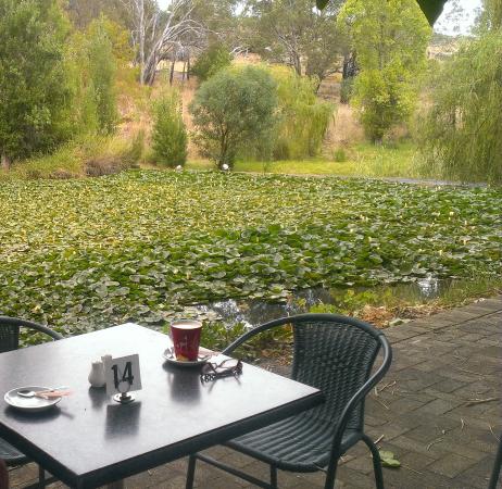  Hobart Tourism