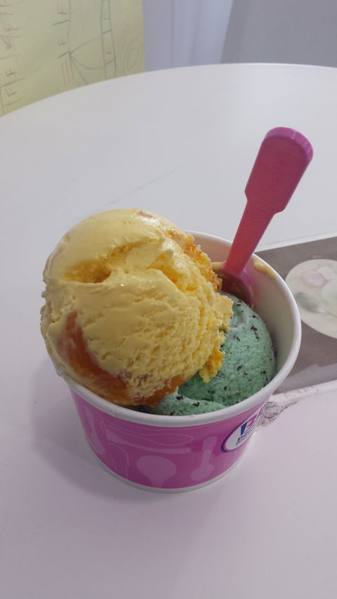 Baskin Robbins - Hobart Tourism 1