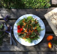 Fair Harvest Farm Cafe - Hobart Tourism