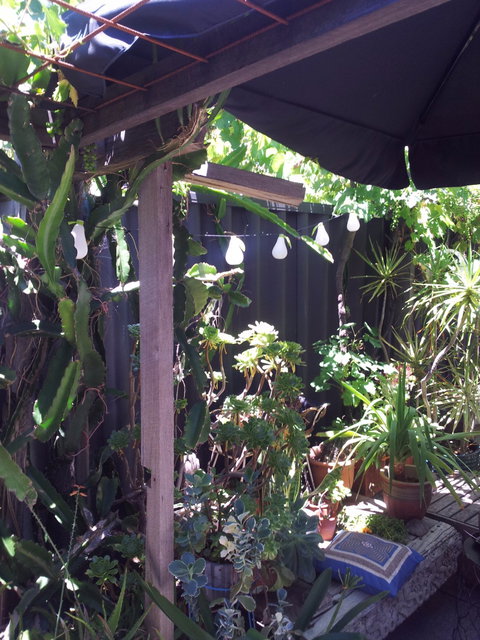 Little Olive Leaf Cafe - Tourism TAS 3