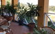 Alicia Estate Winery & Restaurant - thumb 1