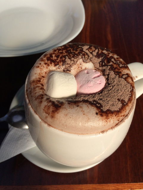 Cafe Cinco Gallos - Hobart Tourism 3