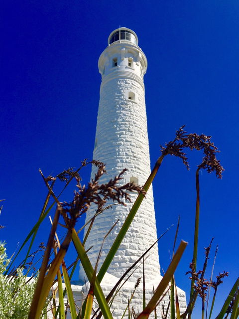 Cape Leeuwin Cafe - Hobart Tourism 1