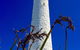 Cape Leeuwin Cafe - thumb 5