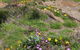 Cape Leeuwin Cafe - thumb 8