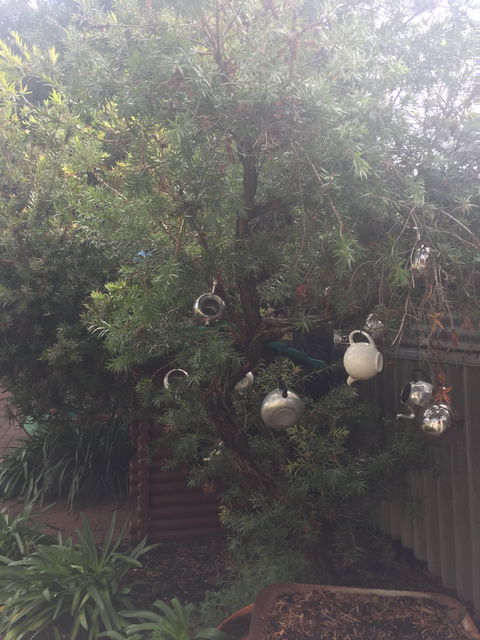 Dwellingup Blue Wren Cafe - Hobart Tourism 5